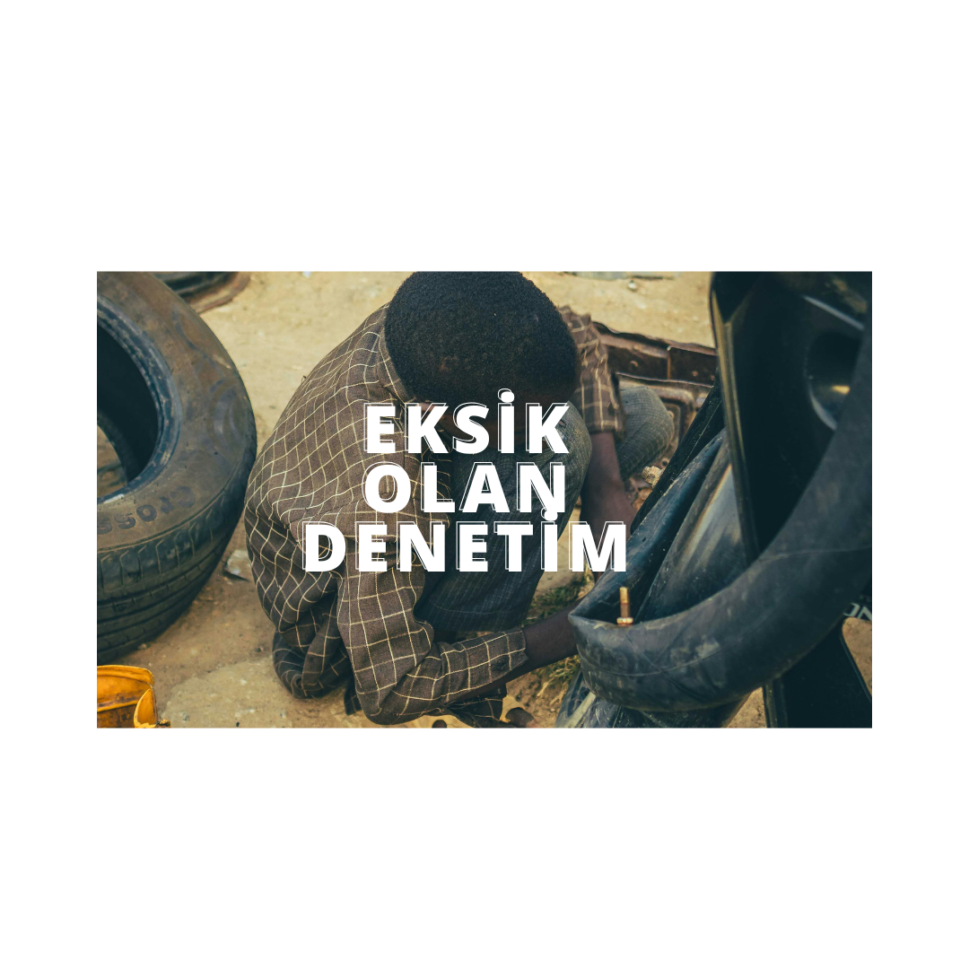Sorun Staj Değil, Denetimsizliktir